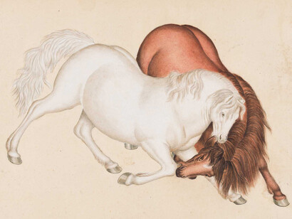 He Qingtai, Horses (detail), second half of the 18th century. Courtesy of Norton Museum of Art