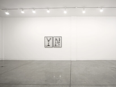 Of Echo Systems, 2016 
Installation view, Altman Siegel, San Francisco, 
Courtesy of the artists and Altman Siegel, San Francisco
