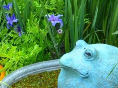 Mini laghetto da terrazzo