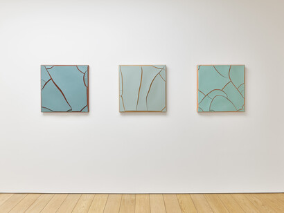 Adriana Varejão, Histórias moldadas, exhibition view. Courtesy of Gagosian Gallery