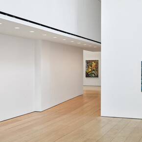 Tammy Nguyen, A comedy for mortals: Paradiso, exhibition view. Courtesy of Lehmann Maupin 