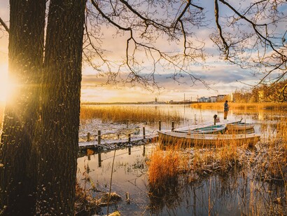 Human and social capital: knowledge, education, culture, human health, skills, life, liberty and happiness