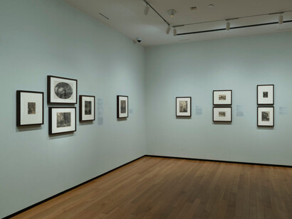 Deconstructing nature, exhibition view. Courtesy of the Baltimore Museum of Art