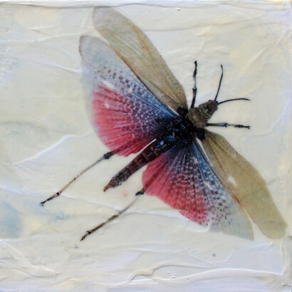 Carrie Goller, Mothra, Enkaustik, Laserdruck und Mischtechnik auf Holzblock, 15,2 x 20,3 x 5,08 cm, Purbaugh Sammlung.