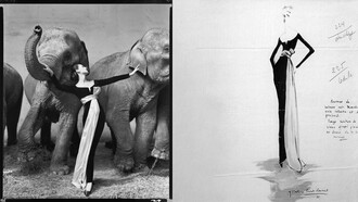 Dovima e gli elefanti con schizzo autografo Yves Mathieu Saint Laurent 