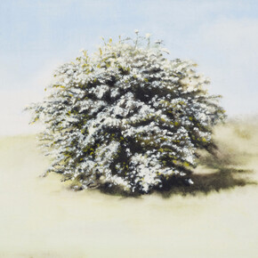 The Turning World. Courtesy of Charlie Smith London