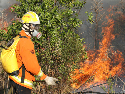 Incêndio no Parque Nacional de Brasília em 2024, Brasil