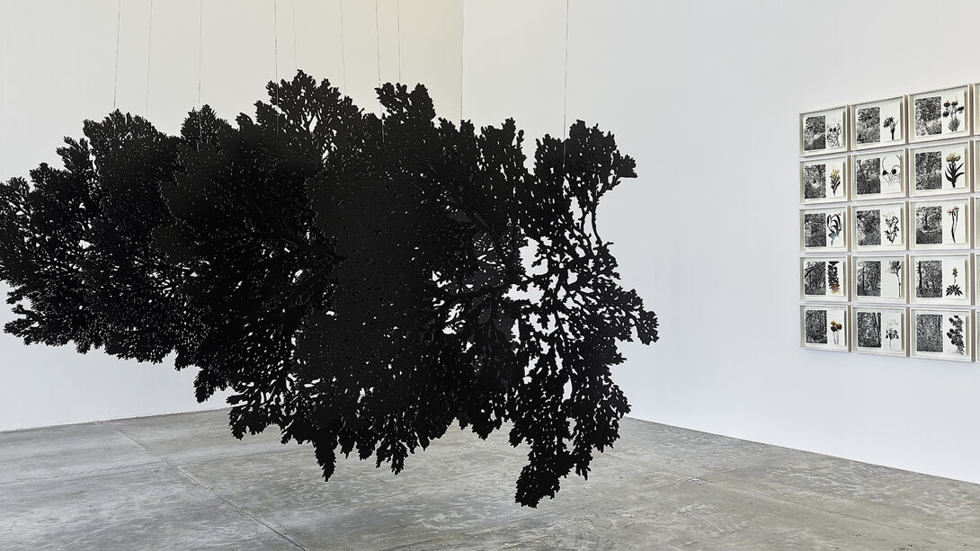 Jan Hendrix. Courtesy of MUAC
