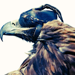 Lyle Owerko, Eagle Hunter 1, 2015. Courtesy of Joseph Gross Gallery