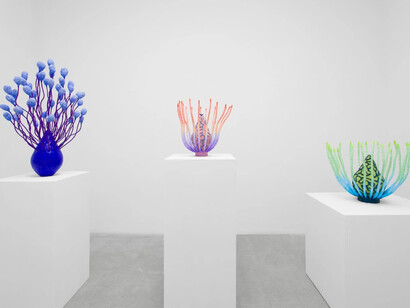 Sarah Ippolito, Liquid realm, exhibition view. Courtesy of VSF Gallery