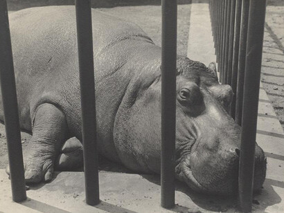 Ilse Bing. Courtesy of Cleveland Museum of Art