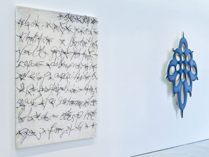 Tonic of Wildness. Courtesy of Marianne Boesky Gallery