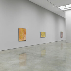 Emily Kam Kngwarray, The turning season, exhibition view. Courtesy of Pace Gallery