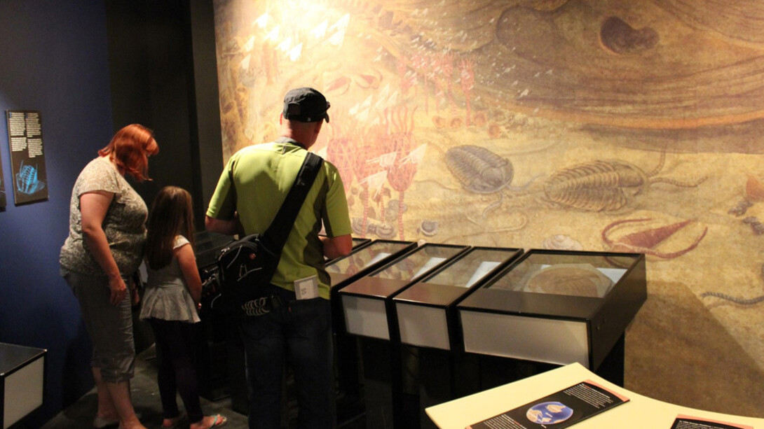 Our Changing Earth. Courtesy of New Brunswick Museum