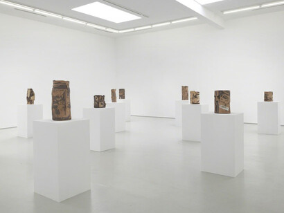 Shining Desert. Courtesy of Roberts Projects