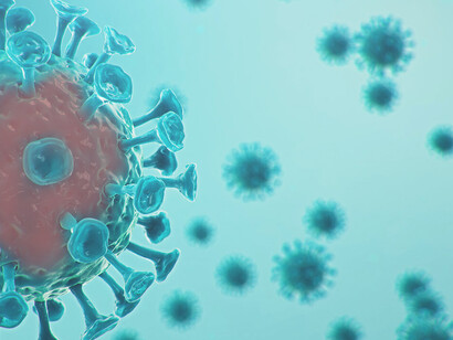 El SARS-CoV-2 podría ser neurotrópico, entrando al cerebro a través del bulbo olfatorio, lo que llevaría a un aumento de los síntomas neuropsiquiátricos