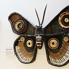 Hallway Exhibitions. Courtesy of COSI Columbus' Dynamic Hands-On Science Center
