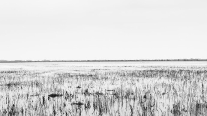 Eric Pillot. Courtesy of Galerie Dumonteil