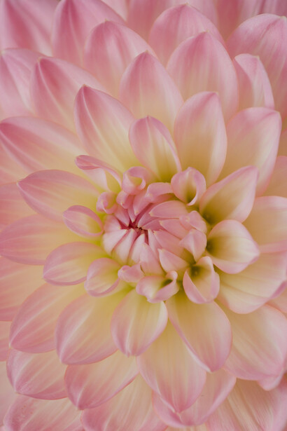 ¿Para ser más? ¿Sin ser?