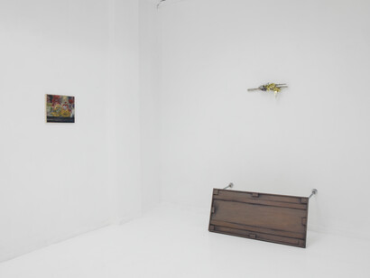 Sharon Xinran Zhang, Enabler and vanilla conjuring (纵容者和寻常戏法), exhibition view. Courtesy of Lubov