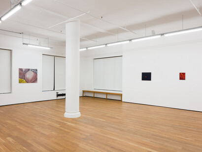 Srijon Chowdhury, 2020, installation views, Foxy Production, New York. Photography: Charles Benton.