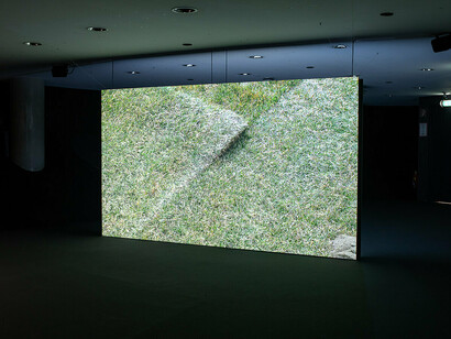 Angenehm für das auge, weich für die füße, ausstellungsansicht. Mit freundlicher genehmigung der Neuen Galerie Graz