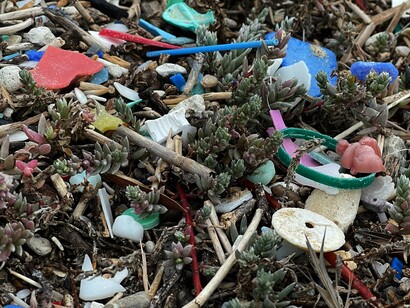 Stimola l'innovazione, incoraggiando lo sviluppo di prodotti e servizi sostenibili, spostandosi verso un impatto ambientale minore