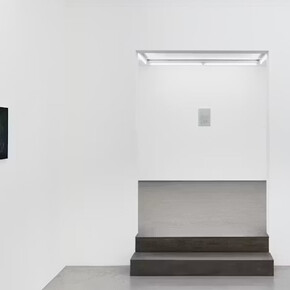 Sarah Pillen, From the field, vue de l'exposition. Avec l'aimable autorisation de la Galerie Hopstreet