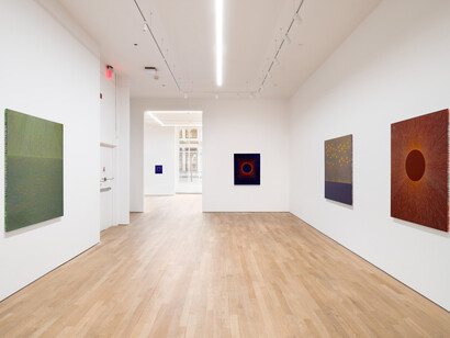 Karen Arm, Night birds, exhibition view. Courtesy of P·P·O·W Gallery