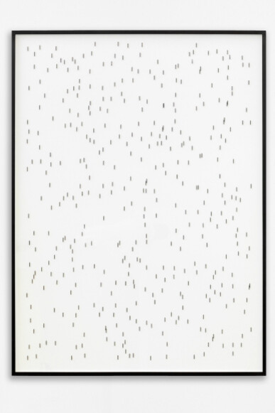 ParaParticular. Courtesy of 303 Gallery