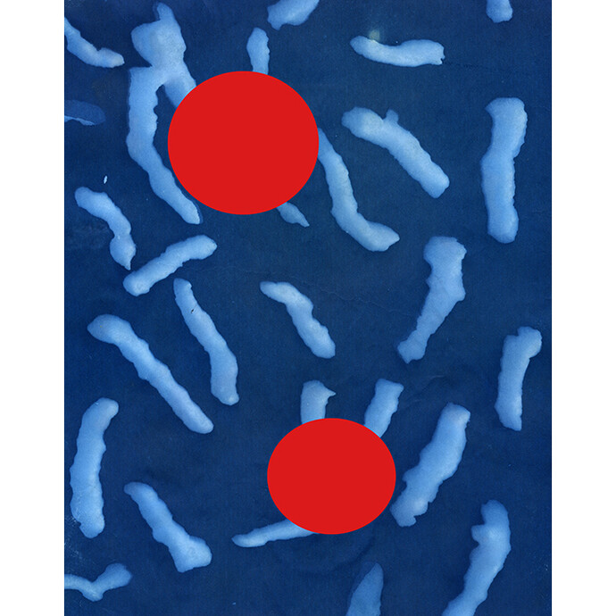 Carissa Carman, Cheeto Red Dot