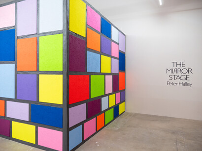 Peter Halley, The mirror stage, exhibition view. Courtesy of NSU Art Museum 