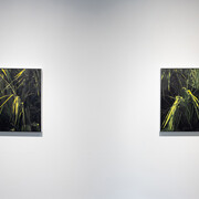 Installation Shot, Ann Stautberg, Interlude, 2023. Courtesy of Barry Whistler Gallery. Photo by Allison V. Smith