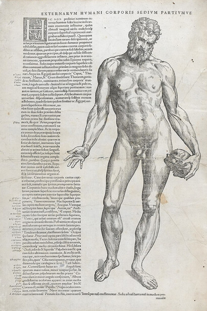 Página de De humani corporis fabrica libri septem (De la estructura del cuerpo humano en siete libros), estudio sobre  anatomía humana escrito por Andrés Vesalio (1514-1564) en 1543