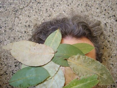 Facebook style portraits