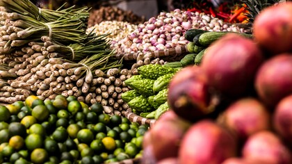 Alimentazione bioenergetica