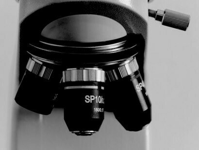 Digitale Technologien werden mit wichtigen Fortschritten in der Biologie kombiniert
