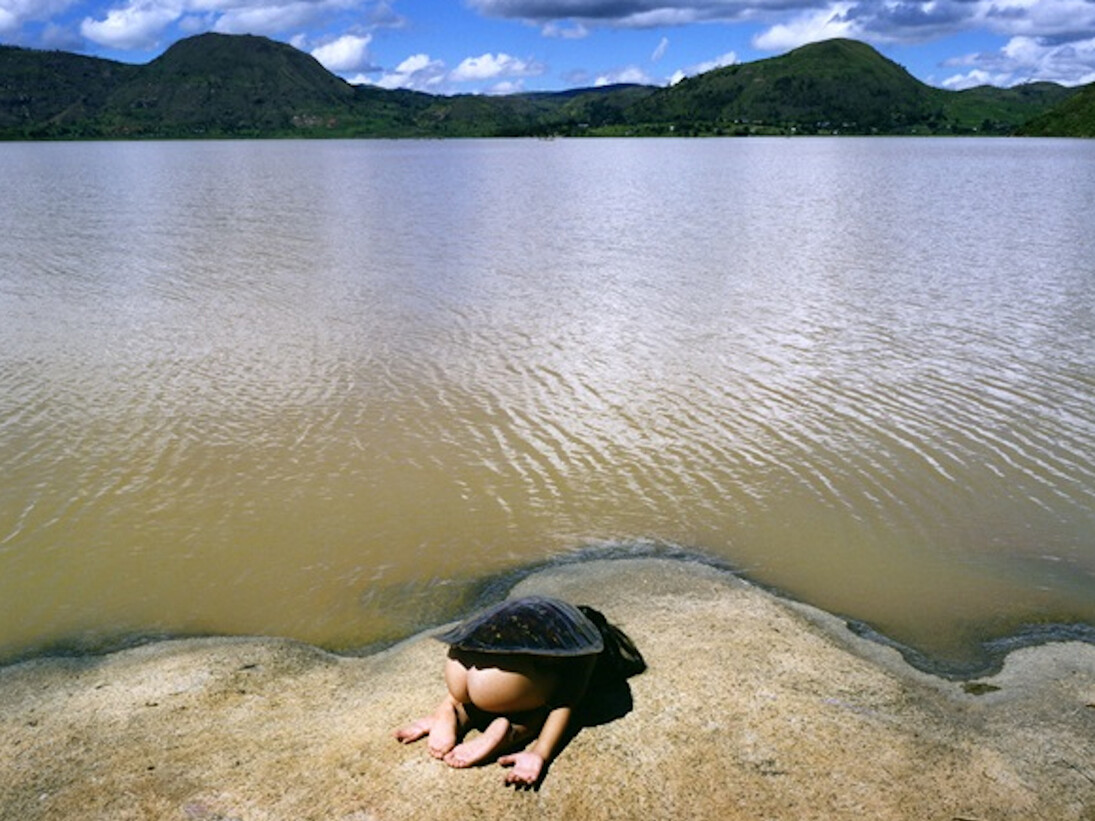 Scarlett Hooft Graafland, Turtle, 2013 (c) Scarlett Hooft Graafland, Courtesy of Flowers Gallery London and New York