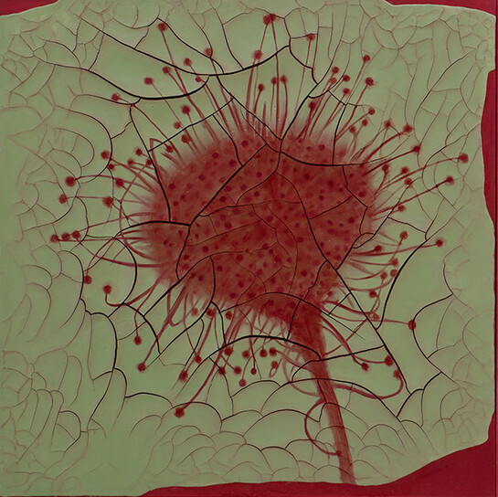 Adriana Varejão, Drosera (triptych), detail, 2012, Oil and plaster on canvas, three panels each; 99 x 297 cm, 39 x 116 7/8 in, Courtesy the Artist and Victoria Miro, London, © Adriana Varejão