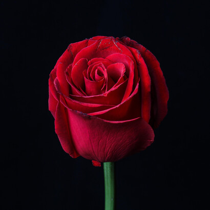 If you buy flowers for your loved one, consider buying two and giving the second one to a local retirement home