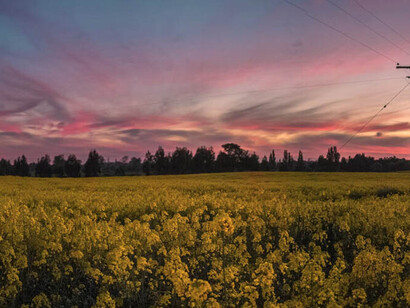 Los predios de menos de 40 hectáreas no podrán ser expropiados, salvo abandono. Osorno, Chile
