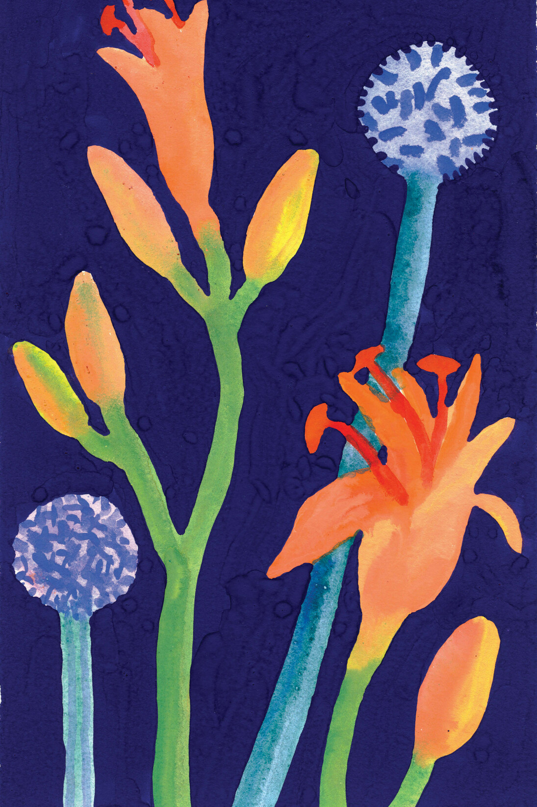 Nerys Johnson, Orange Day Lilies with Echiops on Deep Blue, guache 2000, 28.5 x 18 cm