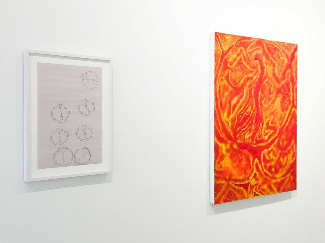 Bluets,Exhibition view. Courtesy of Burning in Water