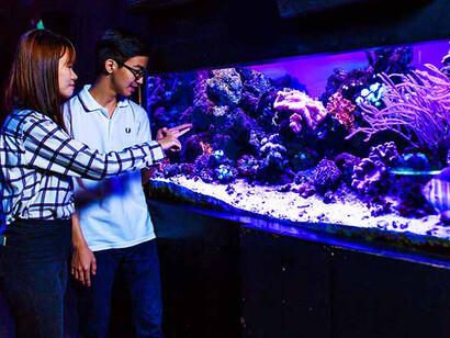 Marine Alcove. Courtesy of Science Centre