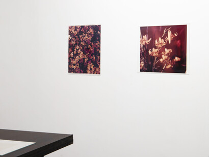 Various artists, Flowing under, exhibition view. Courtesy of PM8 Gallery