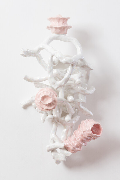 Lynda Draper, Tangle II, 2024. Courtesy of the artist and Sullivan+Strumpf