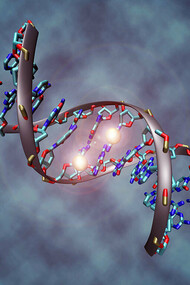 Epigenetica