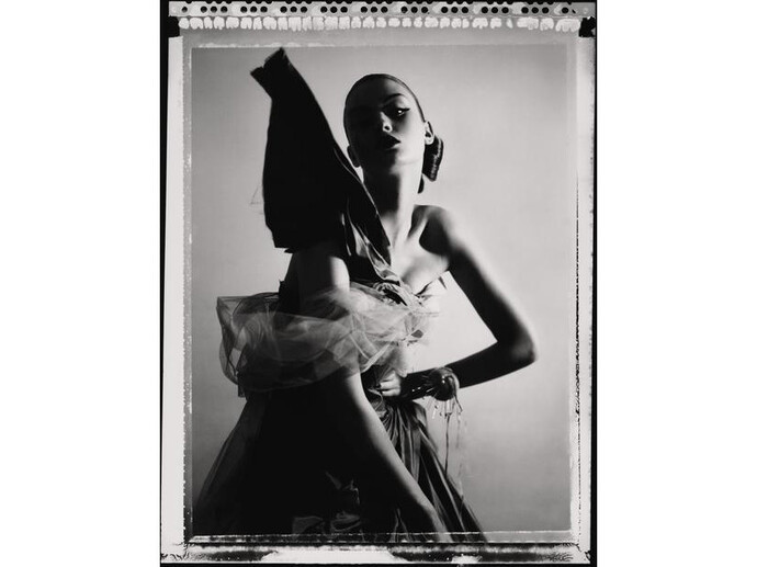 Cathleen Naundorf, Dolly IV, Dior - Haute Couture Winter 2005 - n°7, 2009