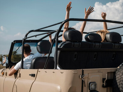 A safari jeep winds through Bandipur National Park in India, known for its tiger thriving population 