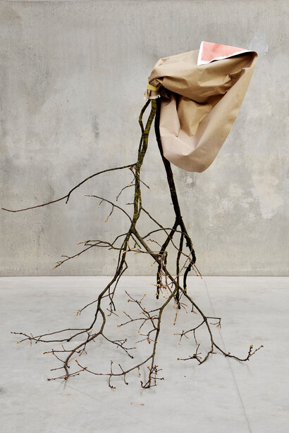 Laura Renna, Papaver orientale, stampa fotografica montata su pannello in dibond, 90 x 66 x 6 cm, tiratura 1/3, Galleria civica di Modena © Laura Renna, dono dell'artista